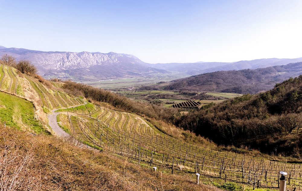 Vipavska dolina 2025 fotka